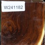 Russian Olive Bowl Blank