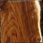 Russian Olive Bowl Blank