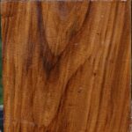 Russian Olive Bowl Blank