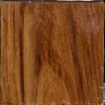 Russian Olive Bowl Blank