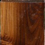 Russian Olive Bowl Blank