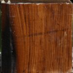 Russian Olive Bowl Blank