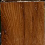 Russian Olive Bowl Blank