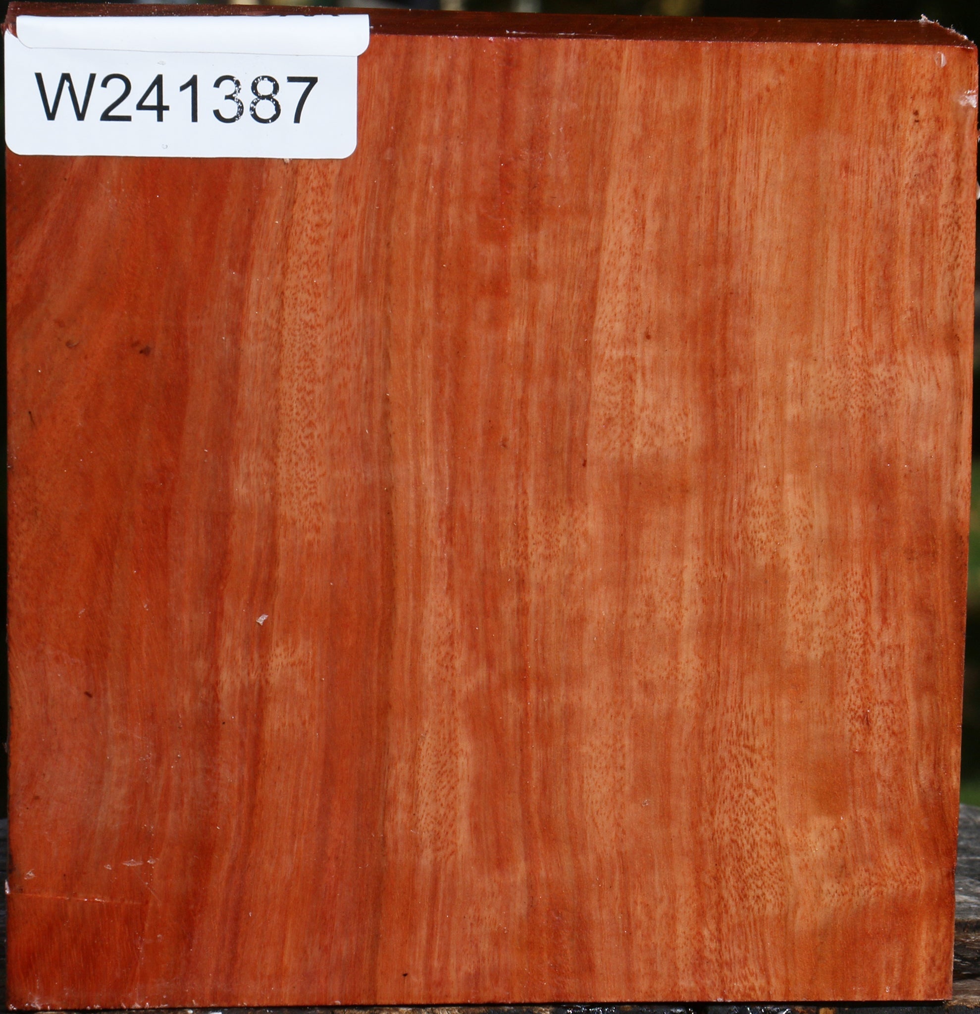 241387_1_d791ff67-b73a-4186-bd11-9800172ef5ae Figured Red Ironbark Bowl Blank - Image 1