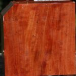 Figured Red Ironbark Bowl Blank