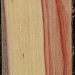 Tulipwood Lumber