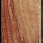 Tulipwood Lumber