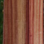 Quartersawn Tulipwood Lumber