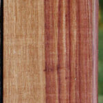 Tulipwood Lumber