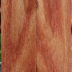 Tulipwood Bookmatched Knife Scales