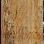 Spalted Tamarind Lumber