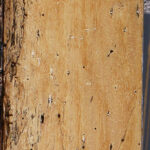 Extra Fancy Spalted Tamarind Lumber