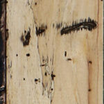 Spalted Tamarind Lumber