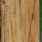 Spalted Tamarind Lumber