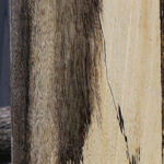 Spalted Tamarind Lumber