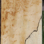 Spalted Tamarind Lumber
