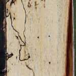 Spalted Tamarind Lumber