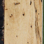 Spalted Tamarind Lumber