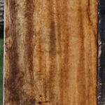 Figured Spalted Tamarind Lumber