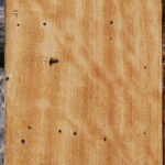 Extra Fancy Spalted Tamarind Lumber