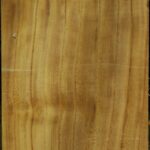 Figured Mulberry Vessel Blank