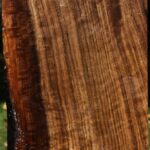 Claro Walnut Vessel Blank