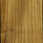 Mulberry Vessel Blank