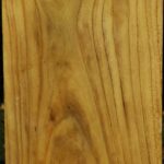 Mulberry Vessel Blank