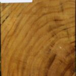 Mulberry Turning Square