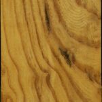 Mulberry Vessel Blank