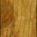 Mulberry Vessel Blank