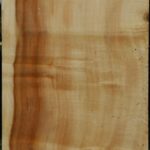 Figured Box Elder Vessel Blank