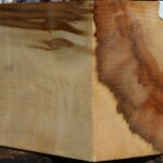 Extra Fancy Box Elder Vessel Blank