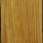 Mulberry Vessel Blank