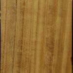 Mulberry Vessel Blank