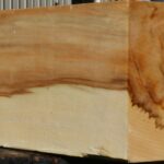 Extra Fancy Box Elder Vessel Blank