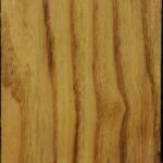 Mulberry Vessel Blank