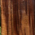 Claro Walnut Vessel Blank