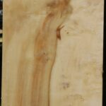 Extra Fancy Box Elder Vessel Blank