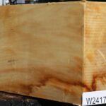 Extra Fancy Box Elder Vessel Blank