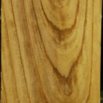 Mulberry Vessel Blank