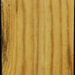 Mulberry Vessel Blank