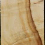 Figured Box Elder Vessel Blank