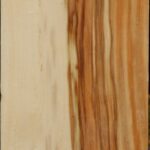 Box Elder Vessel Blank