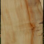 Box Elder Vessel Blank