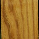 Mulberry Vessel Blank