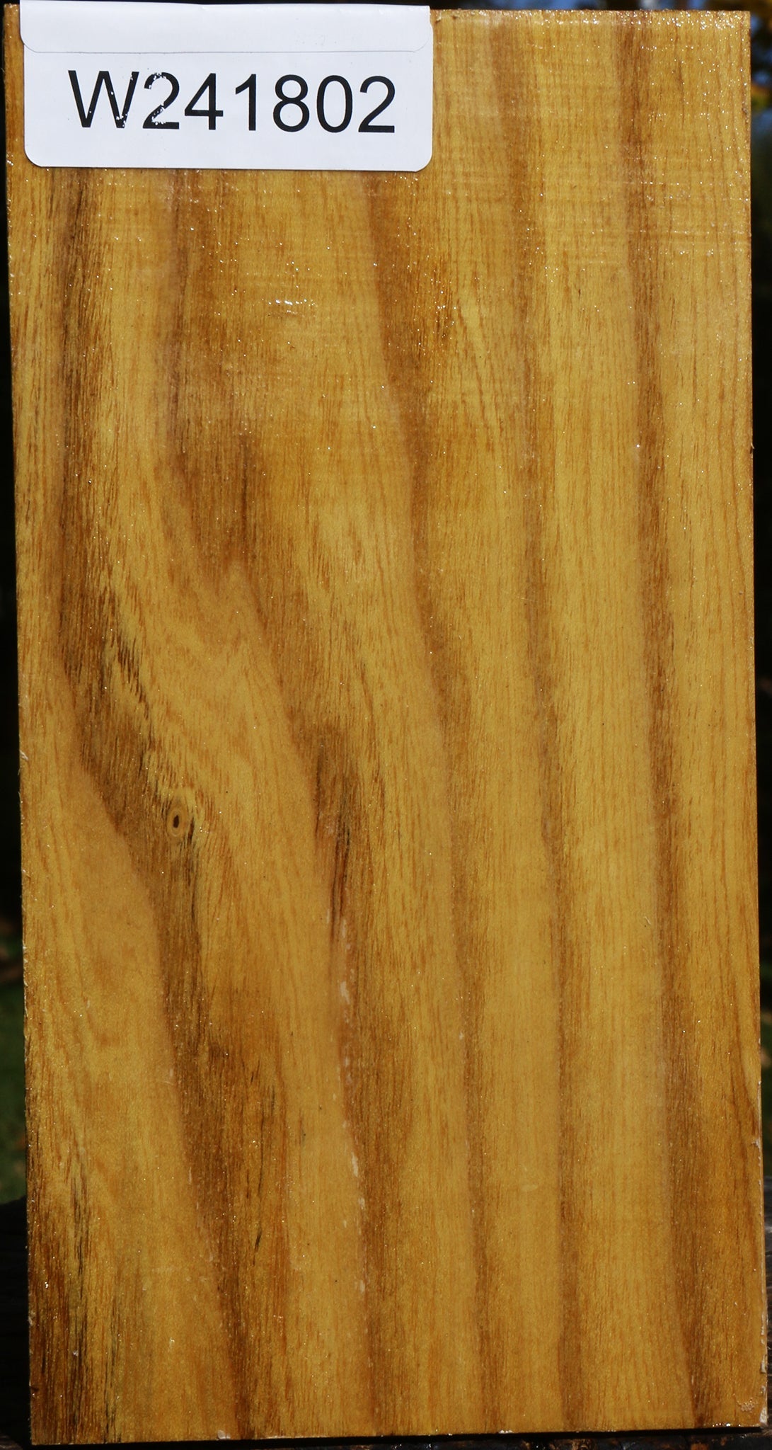 241802_1_51ed8353-be3f-4855-8d54-327e1b5aeaac Mulberry Vessel Blank - Image 1