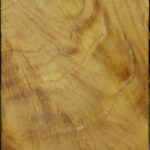 Mulberry Turning Square