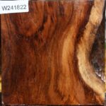 California Cottonwood Bowl Blank