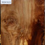 Figured California Cottonwood Bowl Blank